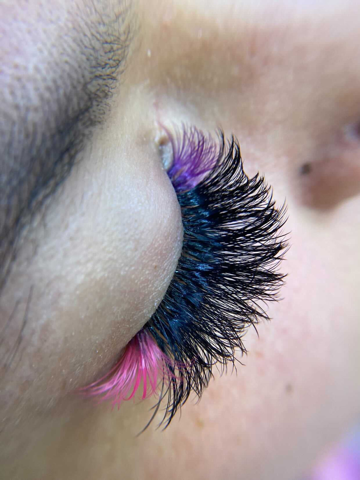 PURPLE LASHES (12 ROW)