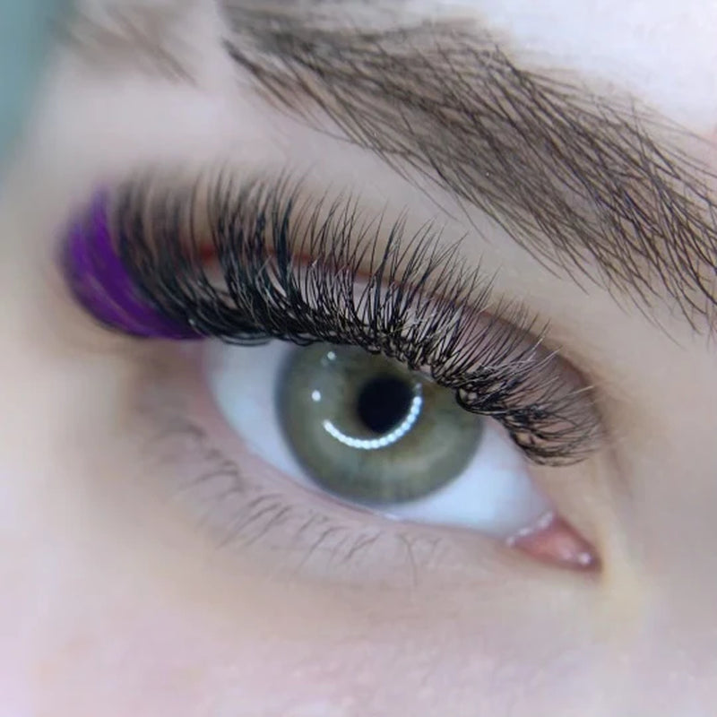 PURPLE LASHES (12 ROW)