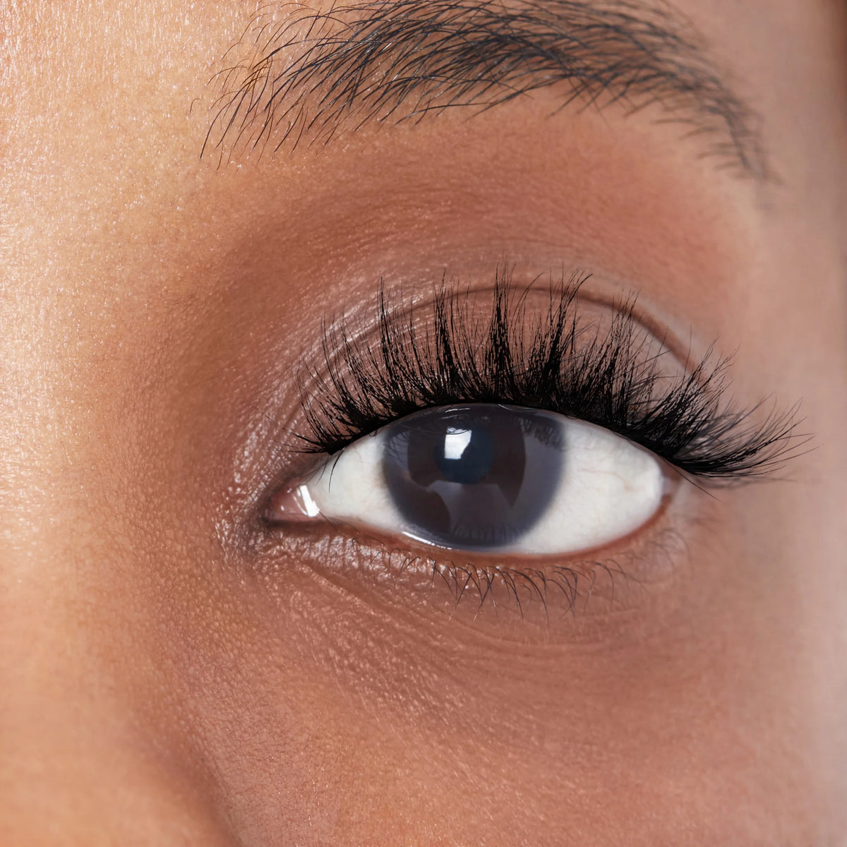 Lash Couture Matte Black Faux Mink False Eyelashes, Strip Lashes, Matte Twill, Black, 4 Pairs