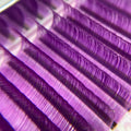PURPLE LASHES (12 ROW)