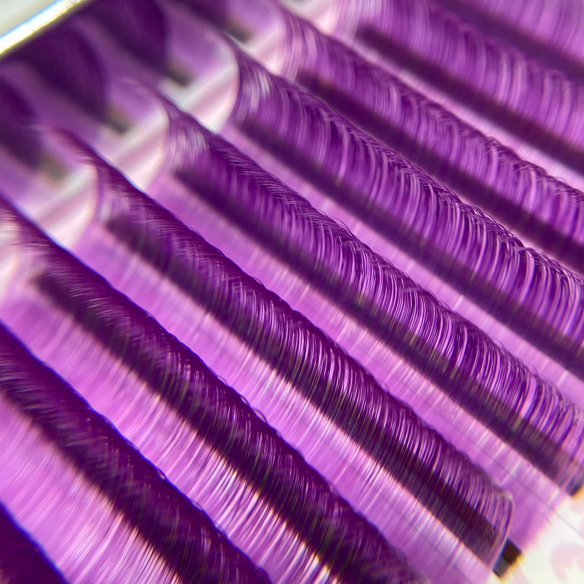 PURPLE LASHES (12 ROW)